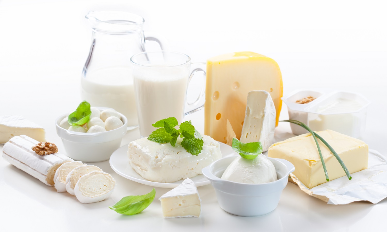 Australian Dairy Products Exporters